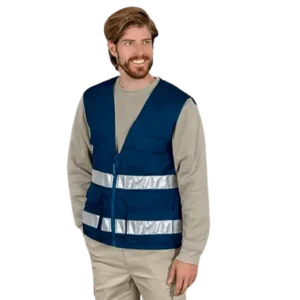 JERVIS